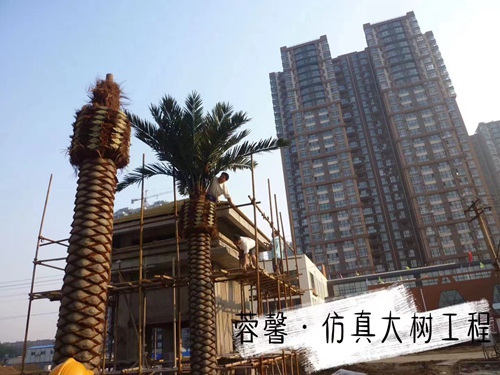 红豆app下载最新版大树